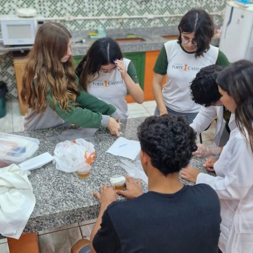 Colégio Forte Castelo